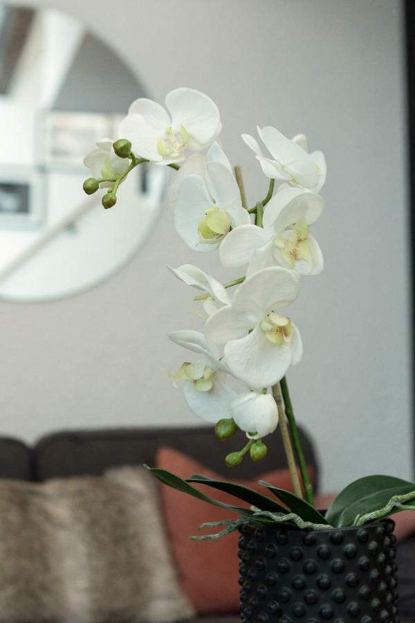 Apartment Midi Loft Chamonix Esterno foto